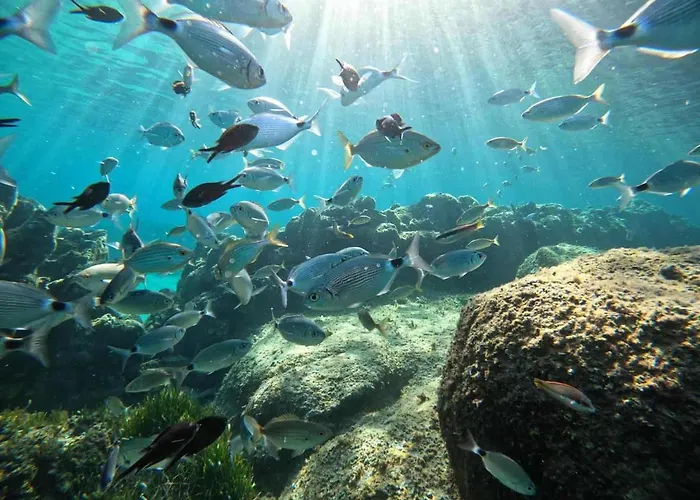 Les Rivages De Stagnola T3 Vue Et Montagne 200m Climatise Apartamento