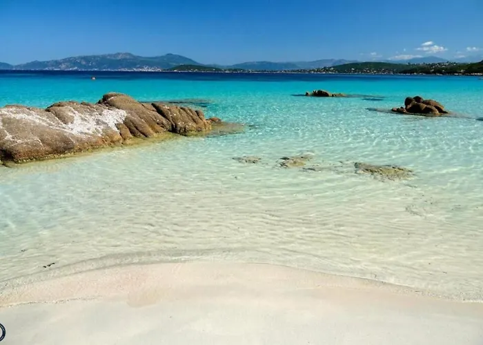 Les Rivages De Stagnola T3 Vue Et Montagne 200m Climatise דירה Pietrosella